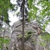 ADRSPACH