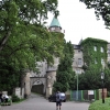 SZCZYTNIK - DPS