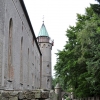 SZCZYTNIK - DPS