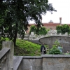 KAMIENIEC ZĄBKOWICKI - ZAMEK