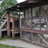 WAMBIERZYCE - SKANSEN-MINI ZOO
