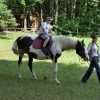 CHĘCINY - ZAMEK