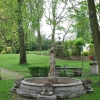 CZARNY LAS - PAŁAC