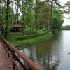 CZARNY LAS - PAŁAC