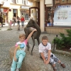 JELENIA GÓRA