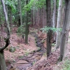PIECHOWICE - MICHAŁOWICE