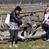 KUROZWĘKI - MINI ZOO