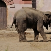 WROCŁAW - ZOO