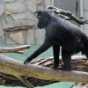 WROCŁAW - ZOO