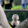 WROCŁAW - ZOO
