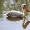 WROCŁAW - ZOO