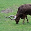 WROCŁAW - ZOO