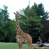 WROCŁAW - ZOO