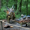 MALBORK - DINOPARK