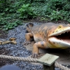 MALBORK - DINOPARK
