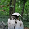 MALBORK - DINOPARK