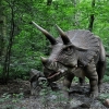 MALBORK - DINOPARK