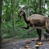 MALBORK - DINOPARK