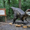MALBORK - DINOPARK