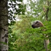 MALBORK - DINOPARK