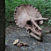 MALBORK - DINOPARK