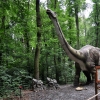 MALBORK - DINOPARK