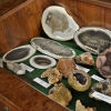 MALBORK - DINOPARK
