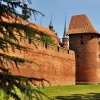 FROMBORK - WAROWNIA