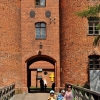 FROMBORK - WAROWNIA