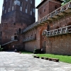 FROMBORK - WAROWNIA