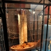 FROMBORK - MUZEUM
