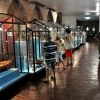 FROMBORK - MUZEUM