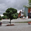KWIDZYN
