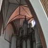 KWIDZYN - KATEDRA