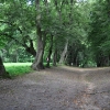 KORCZEW - PARK