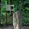 KORCZEW - PARK