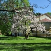 ŁAŃCUT - PARK ZAMKOWY