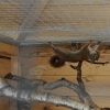LISZNA - LEŚNE MINI-ZOO