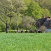 SANOK - MUZEUM BUDOWNICTWA LUDOWEGO