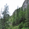 WĄWÓZ HOMOLE