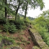 ZAMEK PIENIŃSKI