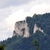 SZCZAWNICA - WIDOK NA TRZY KORONY Z PALENICY