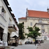 KAZIMIERZ DOLNY