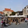 KAZIMIERZ DOLNY
