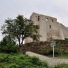 KAZIMIERZ DOLNY
