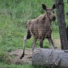 ZATYKI - ZOO SAFARI RUDZIEWICZ