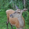 ZATYKI - ZOO SAFARI RUDZIEWICZ