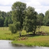 ZATYKI - ZOO SAFARI RUDZIEWICZ