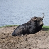 ZATYKI - ZOO SAFARI RUDZIEWICZ