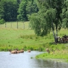 ZATYKI - ZOO SAFARI RUDZIEWICZ